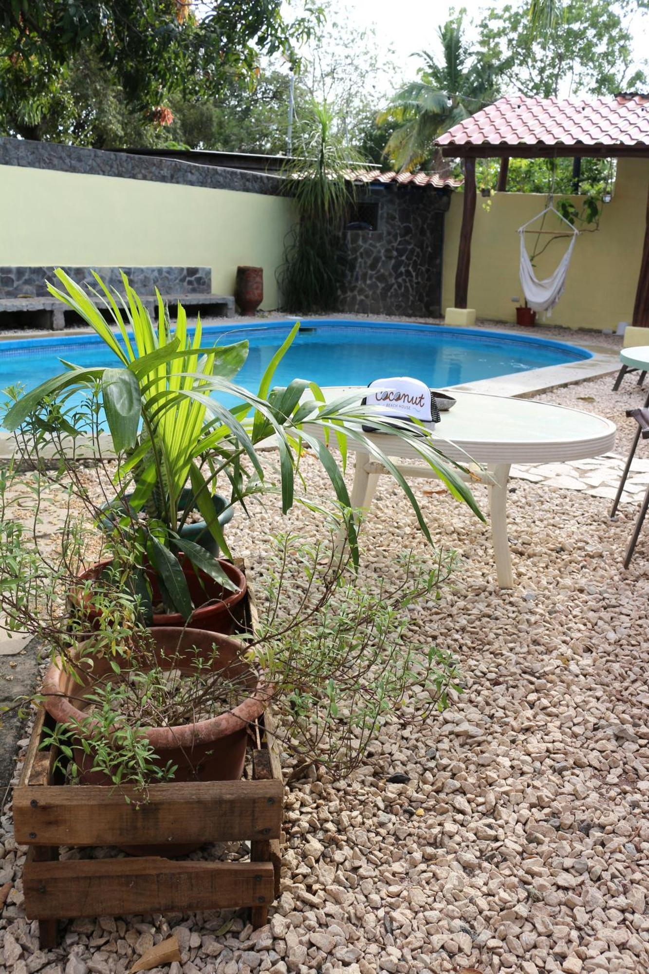 Coconut Beach House Плайя Кончал Екстериор снимка